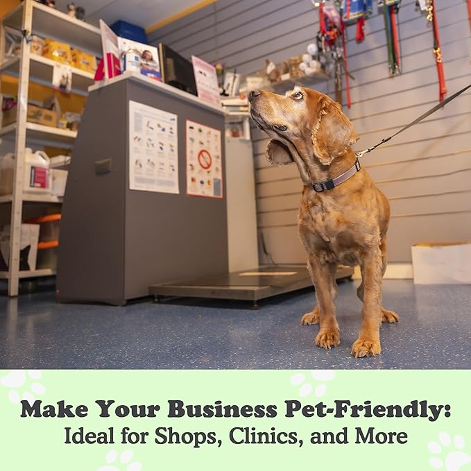 Canine Hitch- Secure Dog Leash Parking Mounted Indoor – Outdoor Wall Hook - Tie Out Stainless Steel Practical Lead Management for Home & Business, Slim Compact 6 Pack-PawvioPets