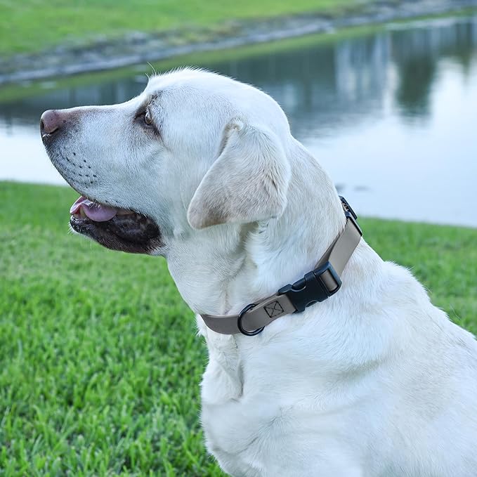Dogline Biothane Waterproof Dog Collar with Quick Release Buckle Strong Coated Nylon Webbing with Odor- Proof for Easy Care Easy to Clean Fits Small Medium Large Dogs, Grey 5/8" W 9-14" L-PawvioPets