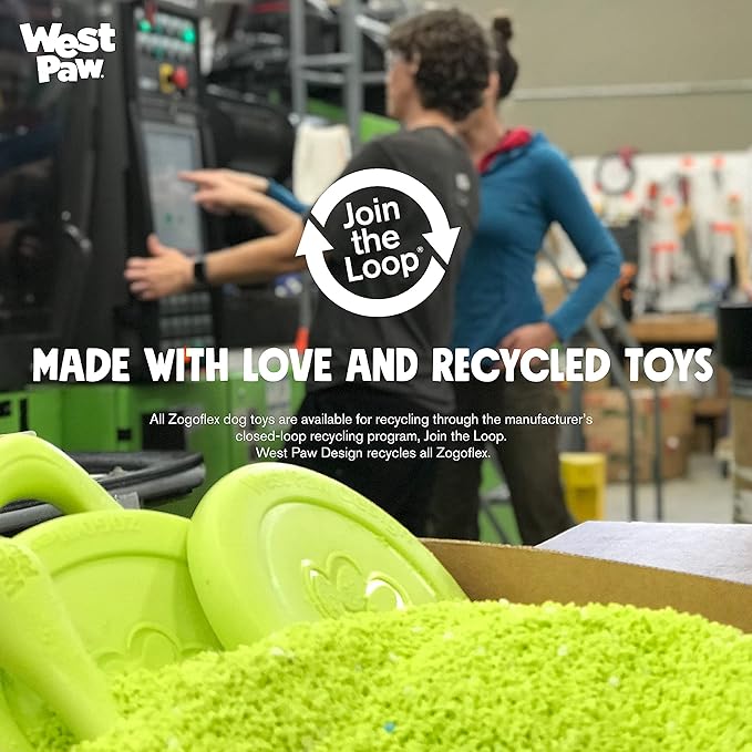 West Paw Zogoflex Qwizl Interactive Treat Dispensing Dog Puzzle Treat Toy for Dogs, Granny Smith, Large-PawvioPets