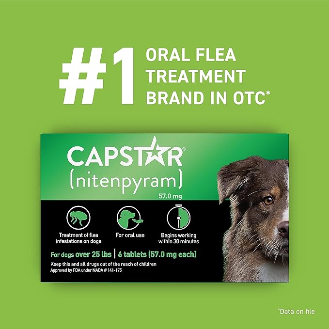 CAPSTAR Oral Flea Treatment for Dogs, Fast Acting Tablets Start Killing Fleas in 30 Minutes, Medium & Large Dogs (Over 25 lbs), 6 Doses-PawvioPets