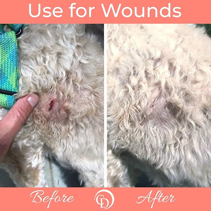 COAT DEFENSE Trouble Spot Drying Paste - Made in USA - 5 Oz Dog & Cat Skin Care, Itchy Skin & Allergies, Alleviates Hot Spots for Dogs & Cats, Insect Bites Relief & Dog Wound Care-PawvioPets