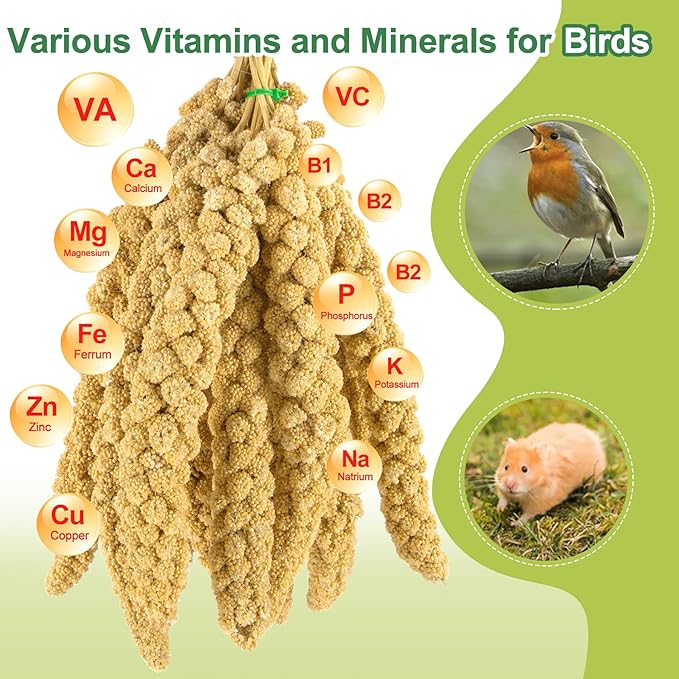 2LB Spray Millet Bird Treat for Parakeets, Natural Sun-Dried Birds Millet Spray for Parrots, Finches, Cockatiel, Budgie & Hamster, Bird Food Bulk-PawvioPets
