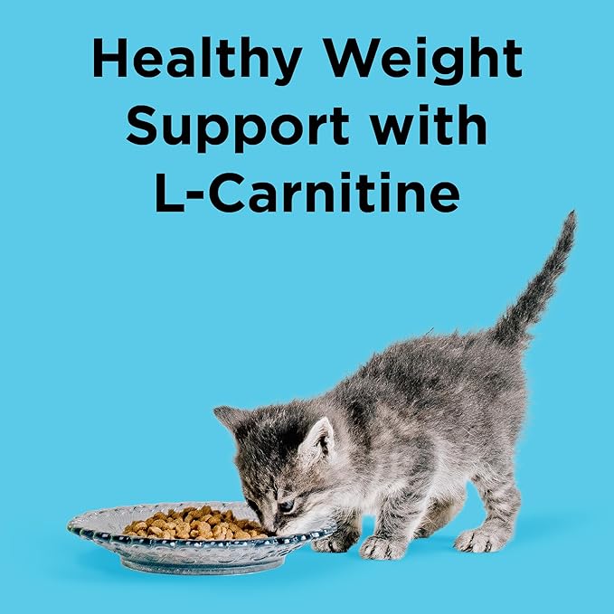 BIXBI Liberty Dry Food Indoor Cat Health Chicken & Salmon Recipe, 3lb-PawvioPets