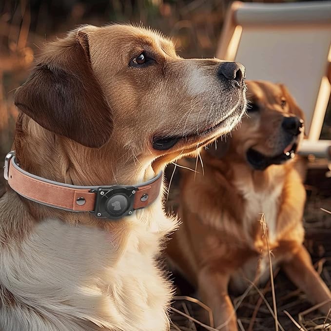 AirTag Dog Collar - Leather Dog Collar with Air Tag Holder | IPX8 Waterproof, Reflective, High - End, Adjustable Soft Padded | Dog GPS Tracker Collars Fit for Medium Large Dogs (Mahogany Brown, L)-PawvioPets