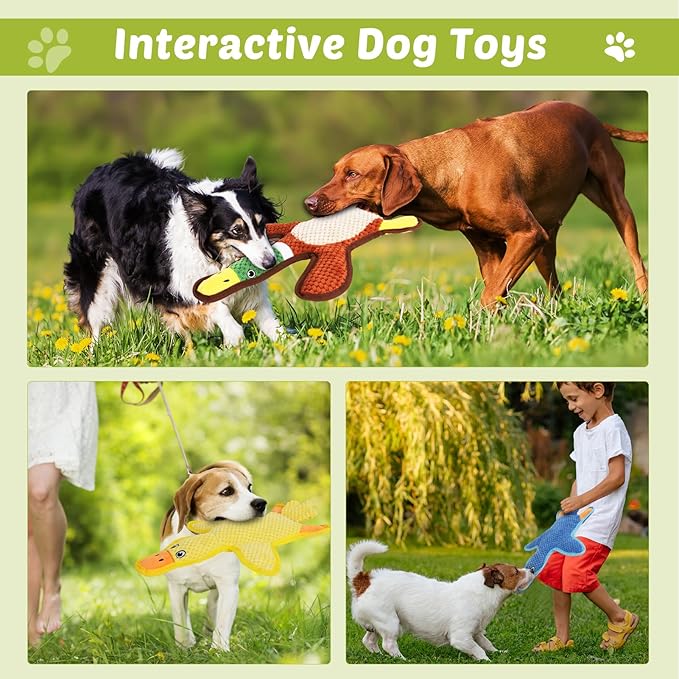 Dog Toys 3-Pack Cute Duck Shapes Puppy Toys No-Stuffing Squeaky and Crinkle Interactive Dog Chew Toy for Small to Large Breeds-PawvioPets