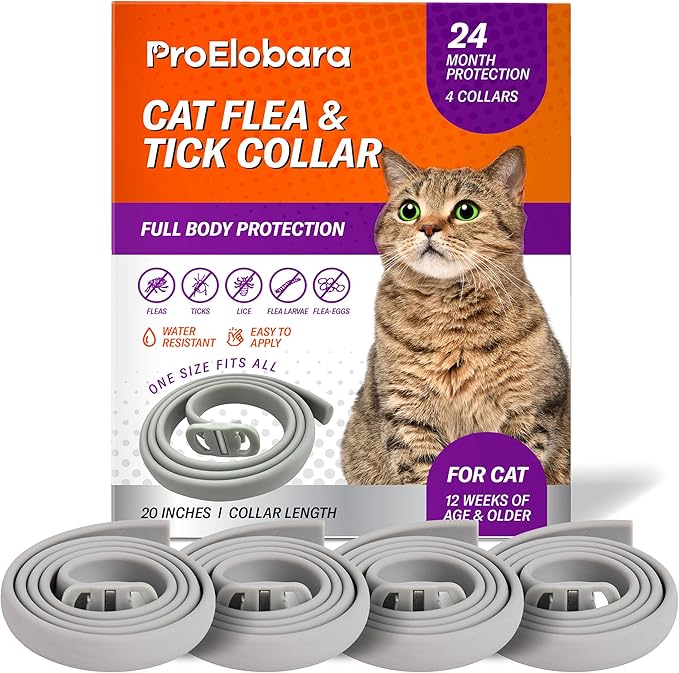 Flea and Tick Prevention Collars for Cats: Effective Pet Flea & Tick Treatment for Cats - Waterproof Adjustable Flea Tick Collars for Large & Small Cat, Outdoor Fleas Ticks Control for Kittens 4 Pack-PawvioPets
