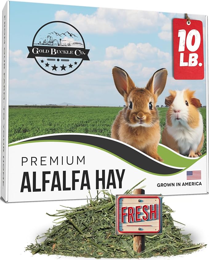10lb Freshly Dried Organic Alfalfa Hay for Guinea Pigs, Rabbits, Chinchillas, Goats, Hamsters & Ferrets, Small Animal Food Rich in Protein & Fiber, Hand-Selected, Hand sorted, USA Grown-PawvioPets