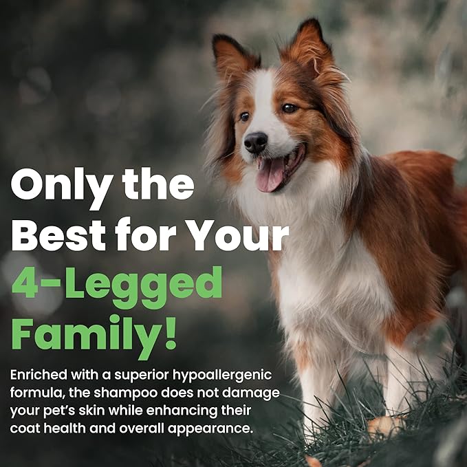 Best Shot Scentament Spa Seasonal Facial & Body Wash, Harvest Apple, 1 Gallon-PawvioPets