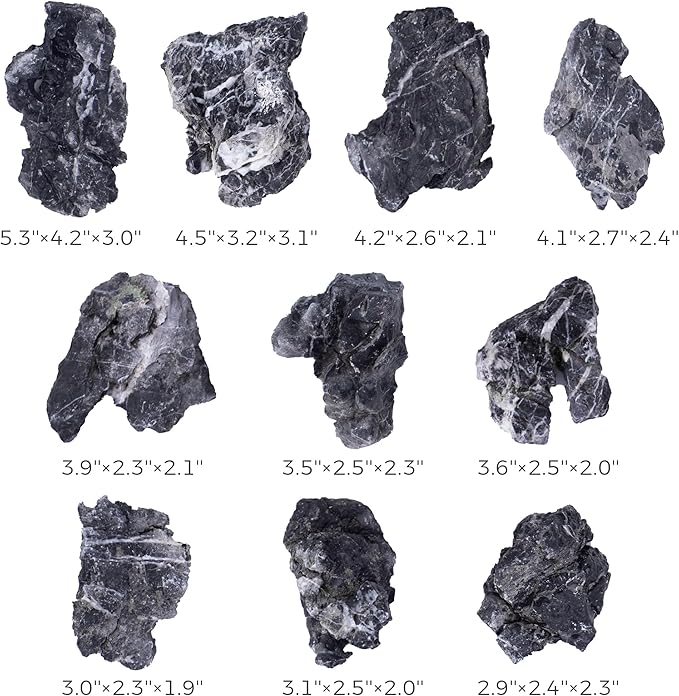 2-4 Inches Natural Seiryu Stone 10 PCS Aquarium Rocks for Aquascaping, Aquarium Landscaping, Terrariums, Fish Tank Decoration, Vivariums, Paludarium, Reptile and Amphibian Enclosures-PawvioPets