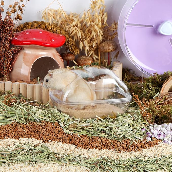 BUCATSTATE Sand Bath Container for Hamster Large Transparent Hamster Toilet with Scoop Dwarf Sandbox Dust Bathtub Small Animals Bathroom Hamster Cage Accessories (Transparent, Large)-PawvioPets