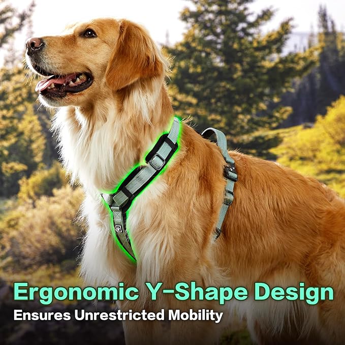 CLEPAWS Dog Harness for Large Dogs, No Pull Dog Harness Easy Walk with Metal Hardware, Ergonomic Y-Shaped Design, Soft Padding, Padded Handle, Durable High-Tensile Nylon (Seabreeze, L)-PawvioPets