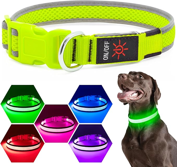 Flashseen LED Dog Collar, Light Up Dog Collar Lights USB Rechargeable, Adjustable Comfortable Soft Mesh Safety Collar for Small, Medium, Large Dogs(Large, Neon Green)-PawvioPets