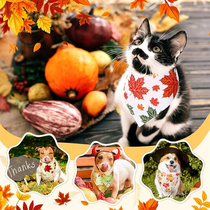 Abbylike 200 Pcs Fall Dog Bandanas Bulk Maple Leaves Bandanas for Dog Pet Triangle Kerchief Bibs Scarf for Fall Autumn Thanksgiving Costume Photo Props Accessories Pet Shops Adoption Events, 25 Styles-PawvioPets