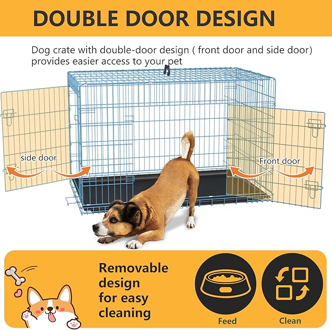 FDW Dog Crate for Medium Dogs 36 Inch Folding Metal WirePet Cage Double Door W/Divider Panel Indoor Outdoor Kennel Leak-Proof Plastic Tray,Blue-PawvioPets