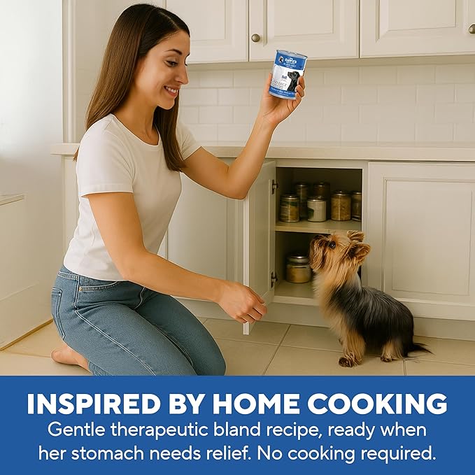 Dave's Dog Food Bland Diet Dog Food for Sick Dogs with Upset Stomach (Chicken & Rice), Economy Size for Large Pups or Big Eaters, Sensitive Stomach, 22 oz (Case of 12)-PawvioPets