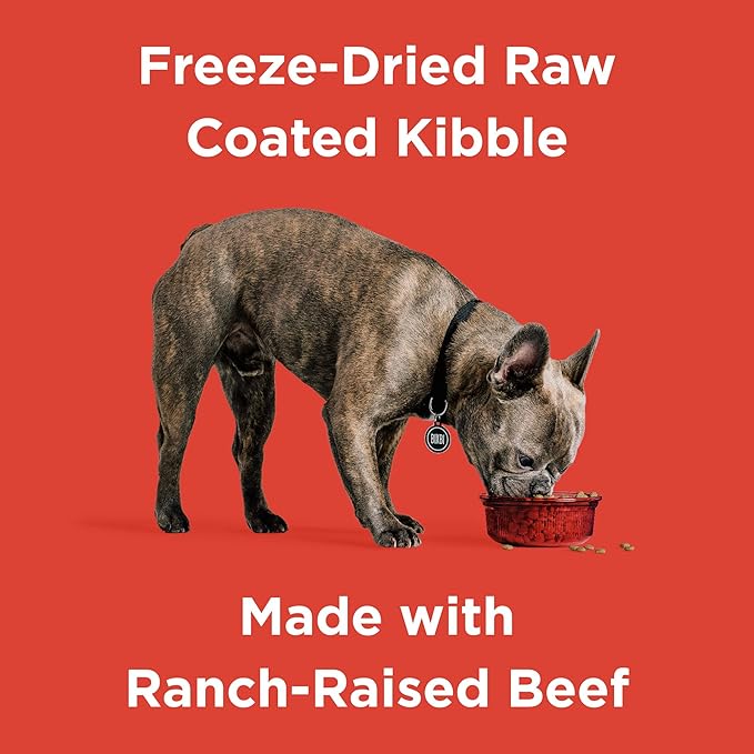 BIXBI Rawbble Dry Dog Food, Beef, 24 lbs - USA Made with No Meat Meals or Fillers - Freeze Dried Raw Coated Dog Food - Industry Leading Digestibility-PawvioPets