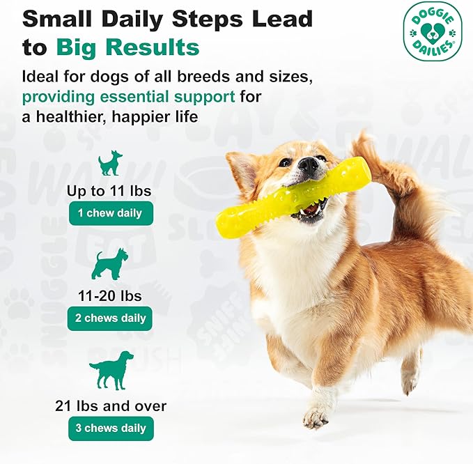 Doggie Dailies Puppy Probiotic, Probiotics for Puppies with Digestive Enzymes, Promotes Digestive Health, Supports Immune System & Overall Development (Pumpkin) 120 Soft Chews-PawvioPets