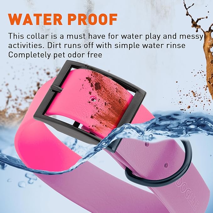 Dogline Biothane Waterproof Dog Collar Strong Coated Nylon Webbing with Black Hardware Odor- Proof for Easy Care Easy to Clean High Performance Fits Small Medium or Large Dogs, Passionfruit Pink-PawvioPets