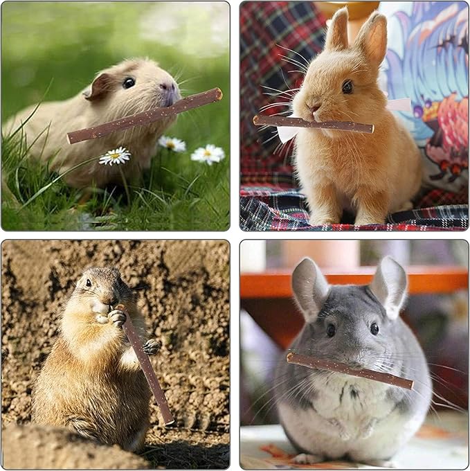 600g Apple Sticks Molar Wood Treats, Rabbit Toys Chinchilla Guinea Pig Bunny Toys Wood Chews Sticks for Teeth Rabbit Food Guinea Pig Hamster Gerbil Chews Small Animals Snacks(150 Pcs)-PawvioPets