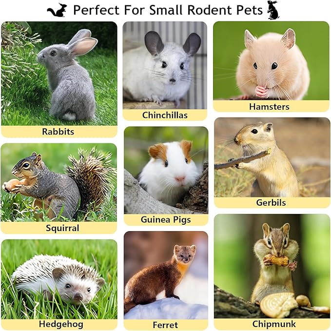 600g Organic Apple Sticks Small Animals Molar Wood Treats Toys for Chinchillas Guinea Pig Rabbits Hamster Gerbil Parrot Bunny Chew Stick Toys, 21.2 OZ-PawvioPets