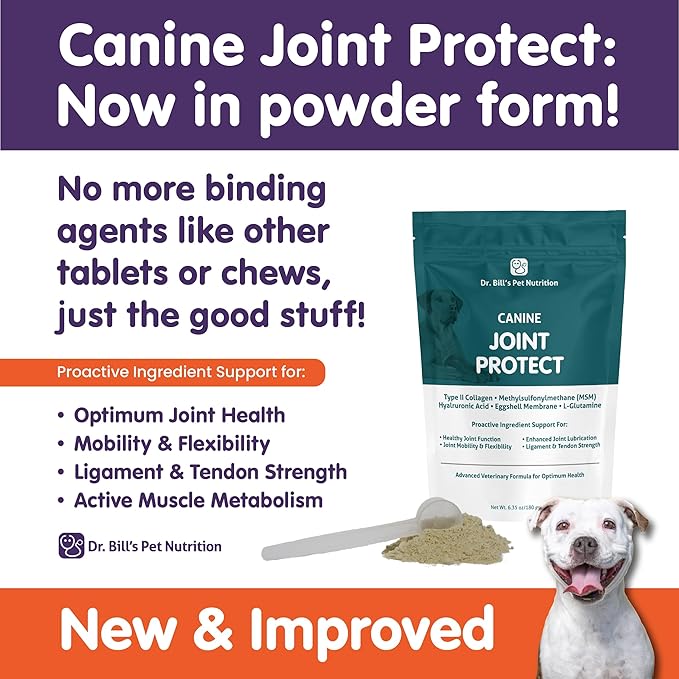 Dr. Bill’s Canine Joint Protect | Joint Support for Dogs | Pet Supplement for Ligament & Tendon Strength | Collagen Type II, Hyaluronic Acid, Eggshell Membrane and L-Glutamine-PawvioPets