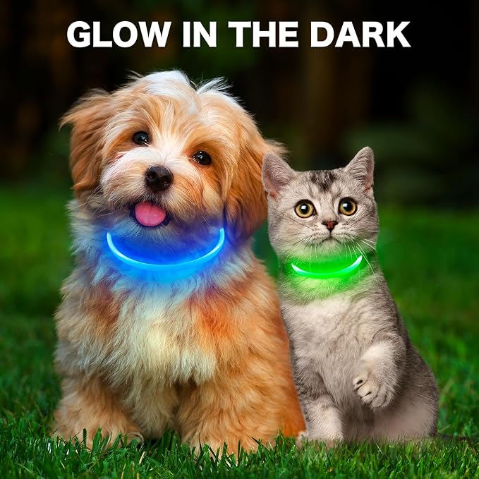 BSEEN Light Up Dog Collar, High Visibility LED Dog Collar Rechargeable- Rainproof TPU Cuttable Glowing Pet Collar for Small Dogs & Cats - Puppy Safety Lights for Night Walking (XS- Blue 40cm)-PawvioPets