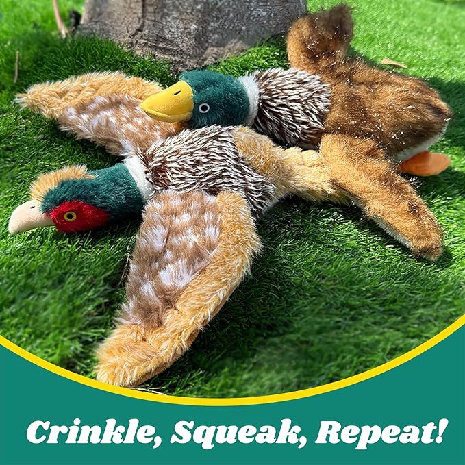 2 PCS Mallard Duck Dog Toys Squeaky D og Toy ,Stuffed Pheasant Do g Chew Toys Plush Mallard Duck Do g To y Interactive Do g Toys to Keep Them Busy , Pheasant Dog To y for Small Middle and Large Dogs-PawvioPets