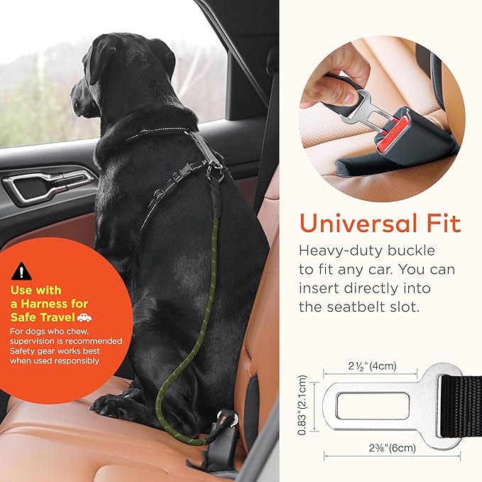Dog Seat Belt for Car | Universal Dog Car Seatbelt | Durable Reflective Rope with Clip Hook Latch, Buckle and Carabiner- Safe and Secure Pet Safety Restraint (Army Green)-PawvioPets