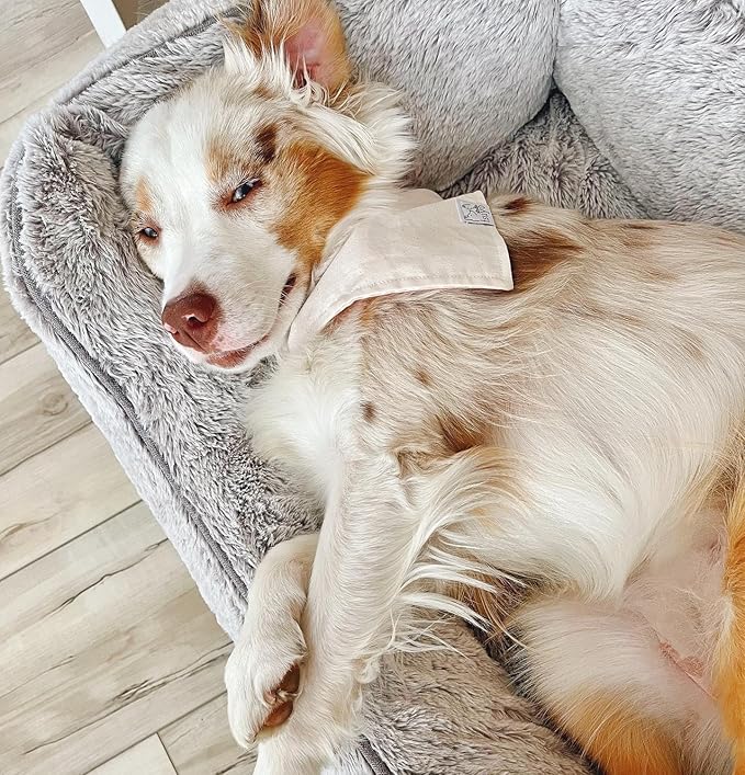 FUZI Luxury Aesthetic Dog Bed with Extra Cover for Small Dogs, Washable Pet Couch, Pet Bed with Sides, Non-Slip Bottom, Soft & Durable Calming Dog Bed, Faux Rabbit Fur, Small 25.1x16.75x9.5 Soft White-PawvioPets