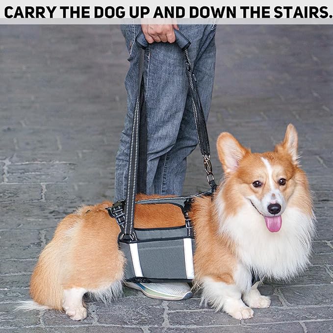 COODEO Mobility Dog Lift Harness, Emergency Carry Sling, Pet Rear Leg Support Rehabilitation Lifts Vest, Dog Carrier for Senior Dogs Joint Injuries, Arthritis (Military Green, M)-PawvioPets