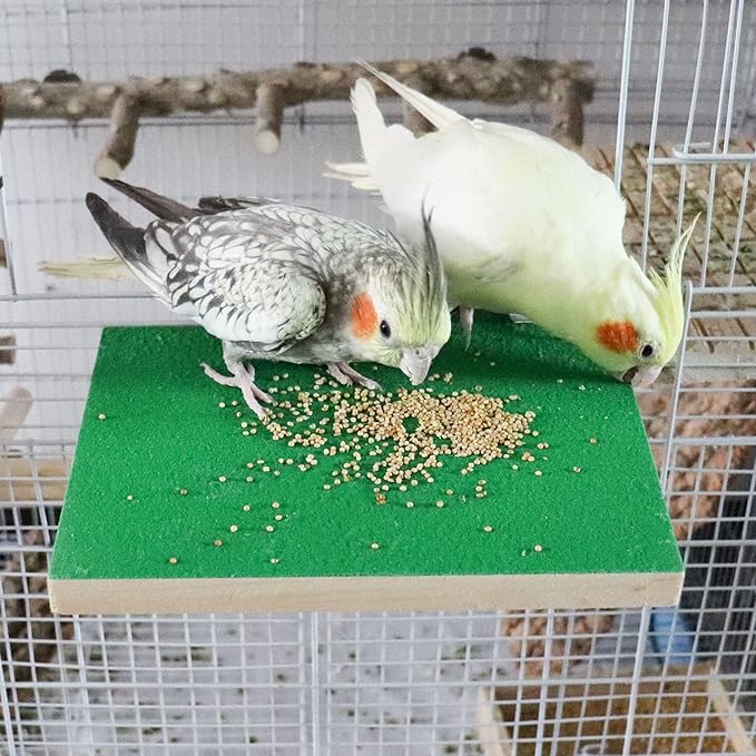 7.9×5.9 Inches Large Bird Perch Stand Platform, Natural Wooden Bird Cage Accessories, Bird Stand Perch with Rough Quartz Sand Surface for Parrot, Parakeet, Budgies, Cockatiel, Rats-PawvioPets