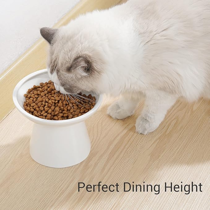 Extra Wide Elevated Ceramic Cat Bowl - 6.2" Shallow Dish for Whisker Fatigue Relief, 5" Height for Easy Feeding, Lead & Cadmium Free, Durable Raised Cat Food Bowls, White-PawvioPets