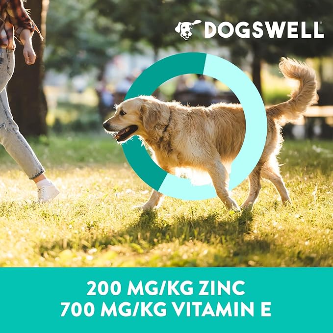 Dogswell Skin & Coat Jerky Dog Treats, Salmon, 10 oz. Bag-PawvioPets