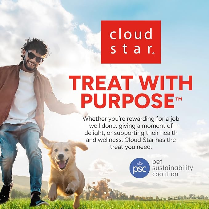 Dogswell Skin & Coat Mini Jerky Dog Treats, Salmon, 4 oz. Bag-PawvioPets