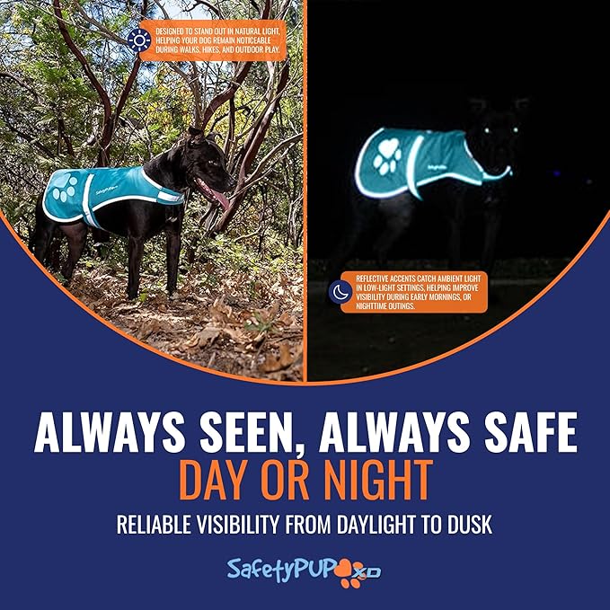 Dog Reflective Vest – Hi-Vis Fluorescent Visibility That Helps to Safeguard Your Pet On/Off Leash in Urban & Rural Areas (Teal, Medium)-PawvioPets