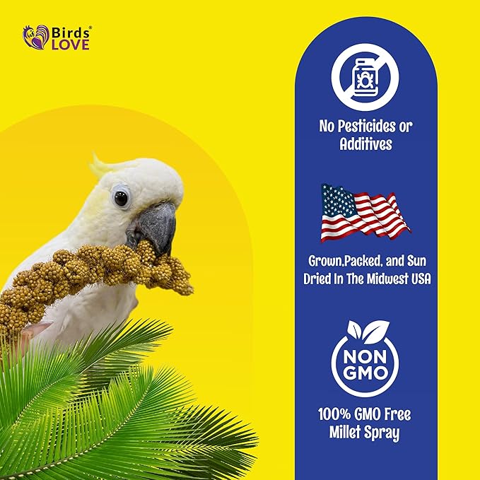 Birds LOVE Spray Millet – 9 oz GMO-Free, No Stems (Only Edible Tops) – Healthy Treat for Parakeets, Cockatiels, Finches, Canaries & Lovebirds-PawvioPets
