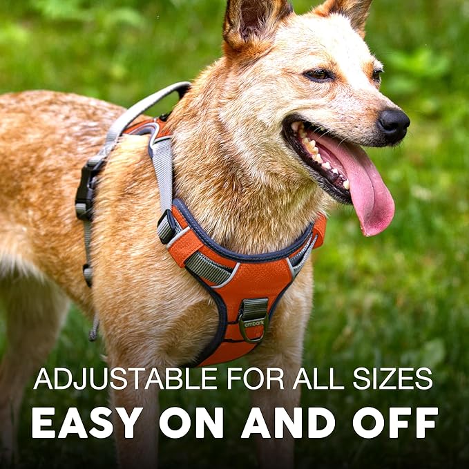 Embark Adventure Dog Harness, Reflective Trim No Pull Dog Harness Medium Sized Dogs - Military Grade Nylon, Front Clip with Gel Lined Handle.-PawvioPets