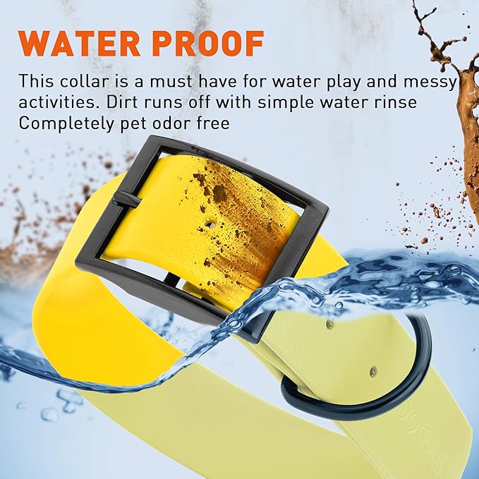 Dogline Biothane Waterproof Dog Collar Strong Coated Nylon Webbing with Black Hardware Odor- Proof for Easy Care Easy to Clean High Performance Fits Small Medium or Large Dogs, Lemon Yellow-PawvioPets