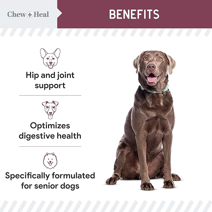 12-in-1 Multivitamin for Senior Dogs - 120 Senior Dog Vitamin and Supplement Soft Chews for Hip and Joint - Advanced Formula with Glucosamine, Omega 3,6,9, Vitamins, Probiotics - Made in The USA-PawvioPets