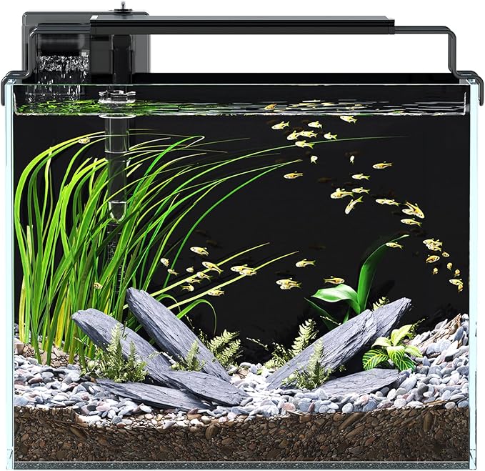 3 Gallon Fish Tank Aquarium Kit with Filter, LED Light with Timer, Siphon Vacuum Cleaner, Lid, Self-Cleaning Glass Rimless Betta Tank-PawvioPets