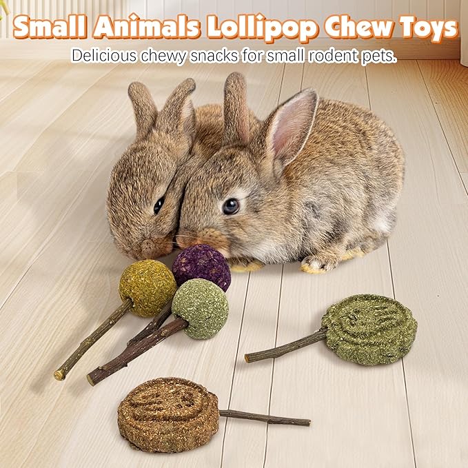 Fhiny Rabbit Chew Toys, 15 PCS Natural Bunny Lollipop Chew Sticks Handmade Guinea Pig Molar Treats for Teeth Small Animals Snacks for Guinea Pig Bunny Chinchilla Hamster Gerbil Teeth Care-PawvioPets
