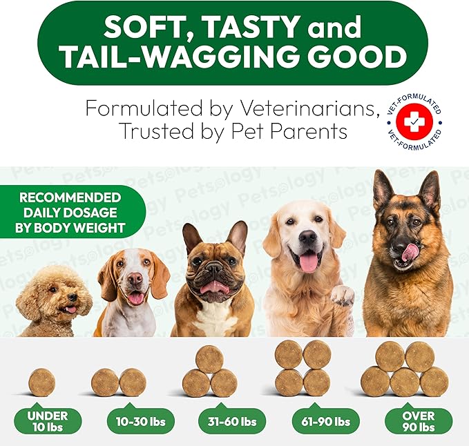 Flea and Tick Prevention for Dogs Pills - Natural Dog Flea & Tick Control - 170 Soft Chewables - Oral Defense Treatment for Dogs Supplement - Vet Formulated Chews - All Breeds & Ages - Made in USA-PawvioPets