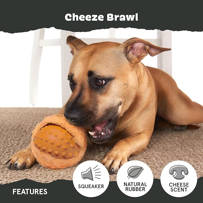 Barkbox Cheeze Brawl Super Chewer Plush Toy with Hard Core Center, Large-PawvioPets
