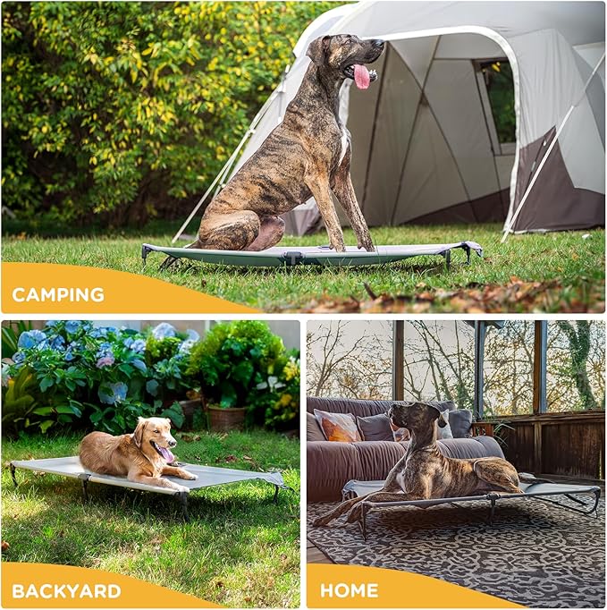 Daisy Cot, XL Foldable Elevated Dog Bed, Portable Raised Outdoor Folding Dog Cots, Cooling, Chew Proof, Waterproof, Heavy Duty Up to 160 lbs for Camping/Home, Grey, 49"x 33"x7"-PawvioPets