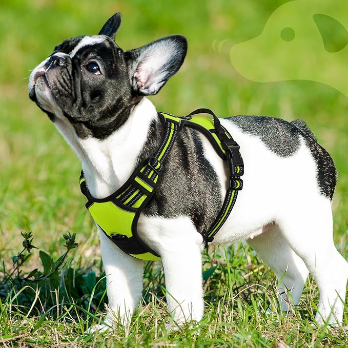 Eagloo Dog Harness Small Sized Dog, No Pull Service Vest with Reflective Strips and Control Handle, Adjustable and Comfortable for Walking, No Choke Pet Harness with 2 Metal Rings, Green, S-PawvioPets