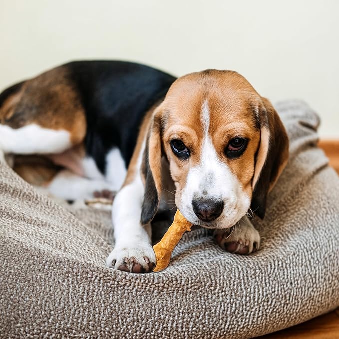 Fieldcrest Farms Nothin' to Hide 3 inch Ultra Knotted Bone Treats - Natural Rawhide Alternative Treats for Dogs, Collagen Based Snack for Heavy Chewers up to 15lbs - Beef Flavor, 12 Pack-PawvioPets