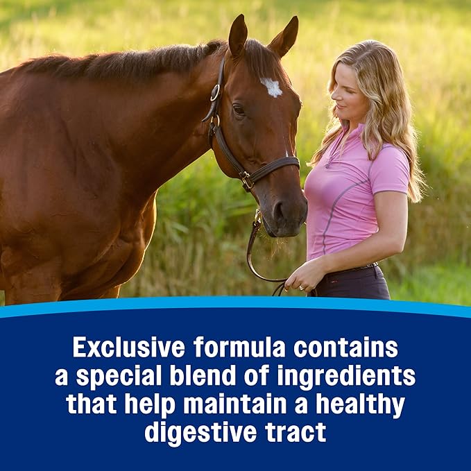 Farnam Hindgut Stabilizer Pellets, Daily Digestive & Immune Supplement for Horses Helps Maintain a Balanced Microbiome for Optimal Digestion-PawvioPets