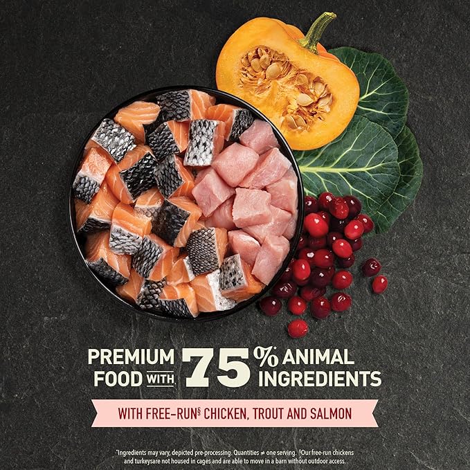 ACANA Highest Protein Dry Cat Food Indoor Cat Food Recipe 10lb Bag-PawvioPets