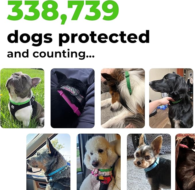 FurLife Flea and Tick Collar for Dogs – Waterproof Green Dog Collar, Pet Supplies for Tick and Flea Prevention for Dogs, Safe for All Breeds-PawvioPets