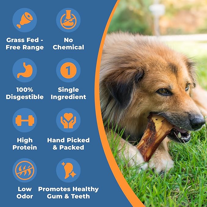 Beef Bone Marrow Dog Treats - Long Lasting Dog Bones for Aggressive Chewers - All-Natural Marrows Treats for Dogs - High-Protein Marrow Bones for Dogs Small, Medium, Large & Extra Large-PawvioPets
